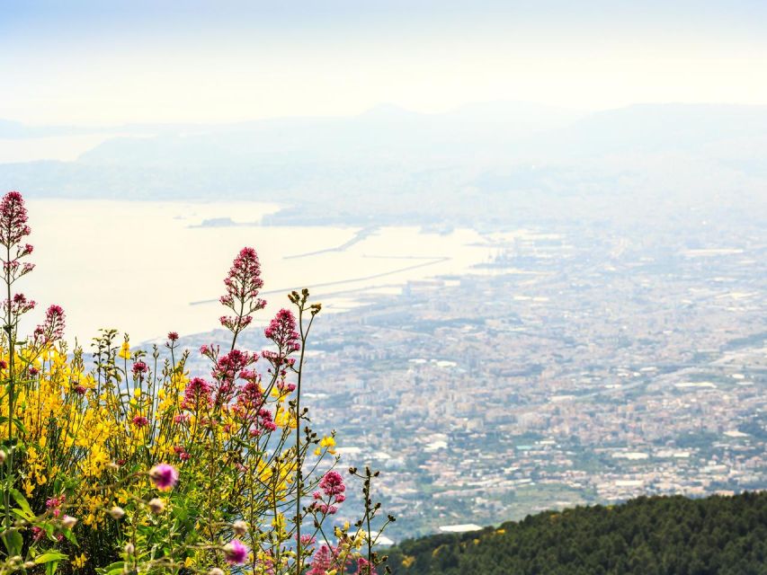 From Naples: Mount Vesuvius Transfer with Entry Tickets - Transportation comfort and practical rules to know