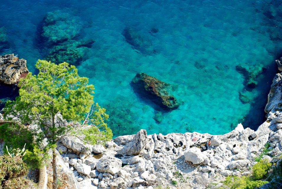 From Naples: Pompeii and Amalfi Coast Full-Day Private Tour - Should you book this Pompeii + Amalfi private tour from Naples?
