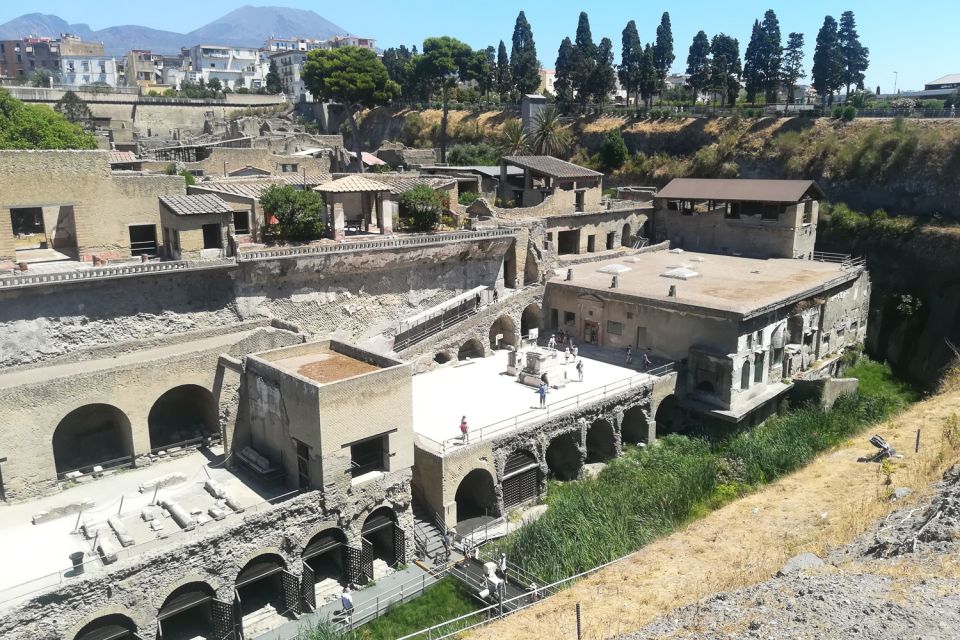From Naples: Pompeii and Herculaneum Tour with Lunch - Herculaneum after lunch: the preserved city you can actually study