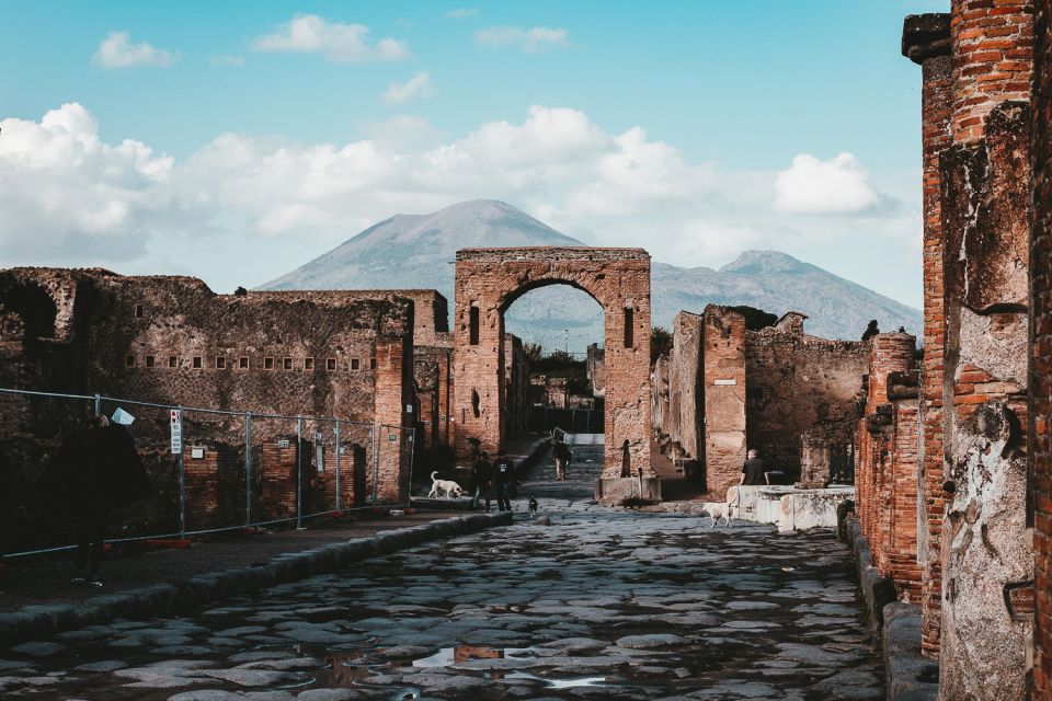 From Naples: Pompeii and Herculaneum Tour with Lunch - What you’re really paying for: value, tickets, and timing