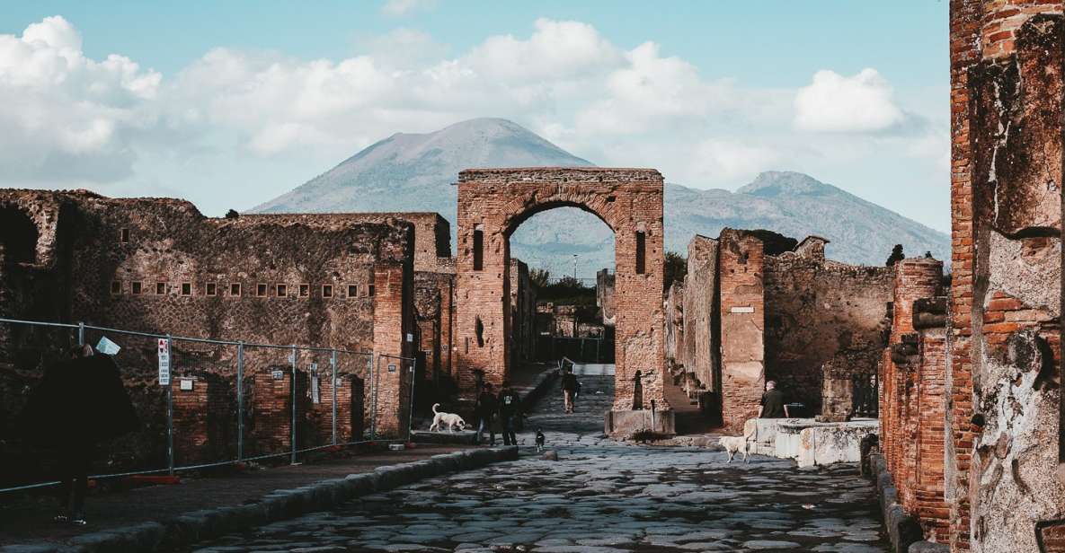 From Naples: Pompeii and Herculaneum Tour with Lunch - Logistics that can make or break your experience