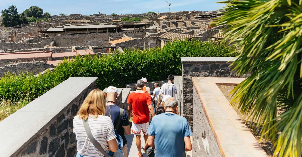 From Naples: Pompeii Ruins & Mount Vesuvius Day Tour - Who should book this Pompeii and Vesuvius day tour