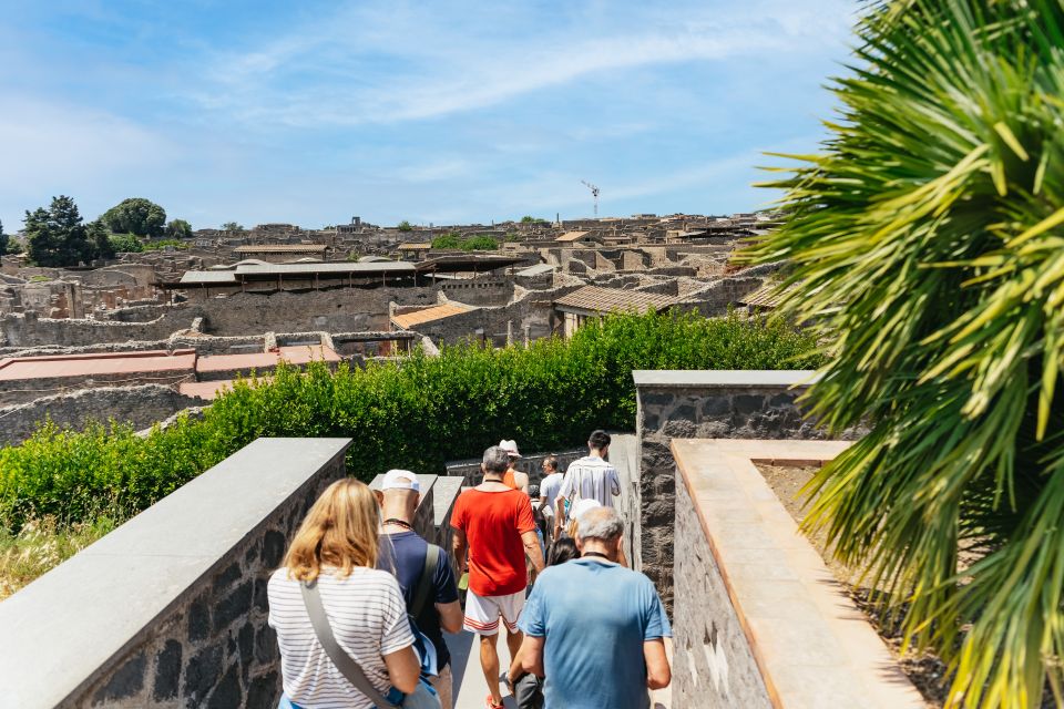 From Naples: Pompeii Ruins & Mount Vesuvius Day Tour - Mount Vesuvius: crater-lip views and the uphill walk