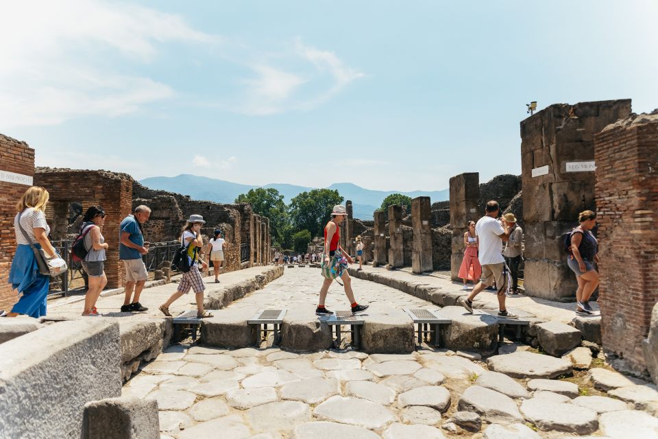 From Naples: Pompeii Ruins & Mount Vesuvius Day Tour - Timing and transport: the 7 to 7.5-hour reality
