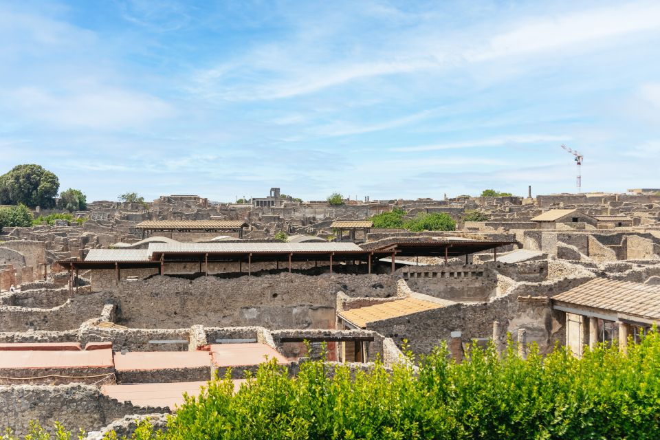 From Naples: Pompeii Ruins & Mount Vesuvius Day Tour - Price and value: what $120.84 buys you