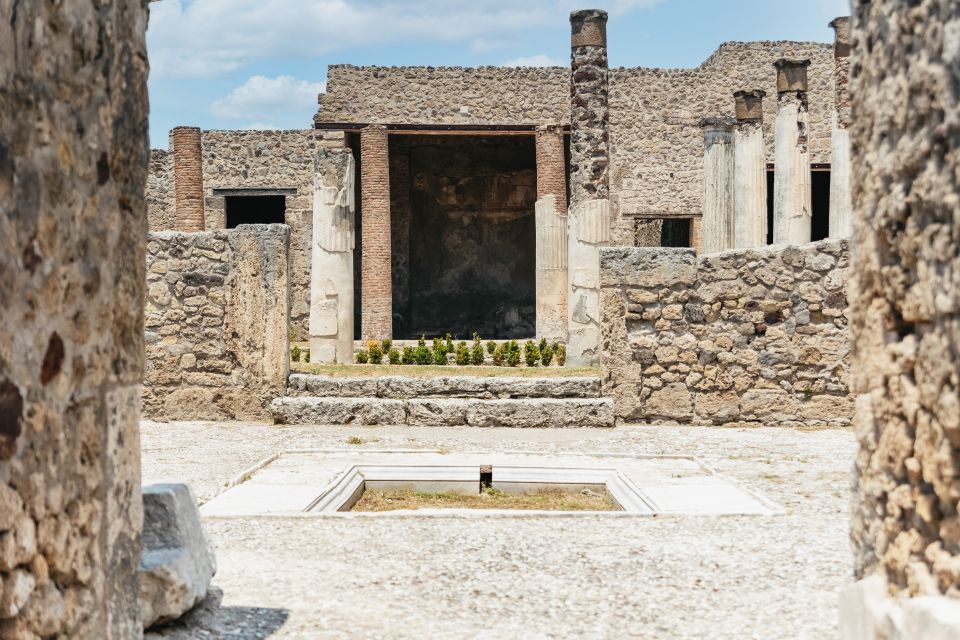 From Naples: Pompeii Ruins & Mount Vesuvius Day Tour - Language options: live guide vs audio, and Vesuvius specifics