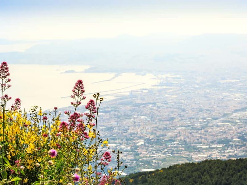 From Naples: Vesuvius Easy Tour - Vesuvio National Park stop: your hiking time and how to pace it