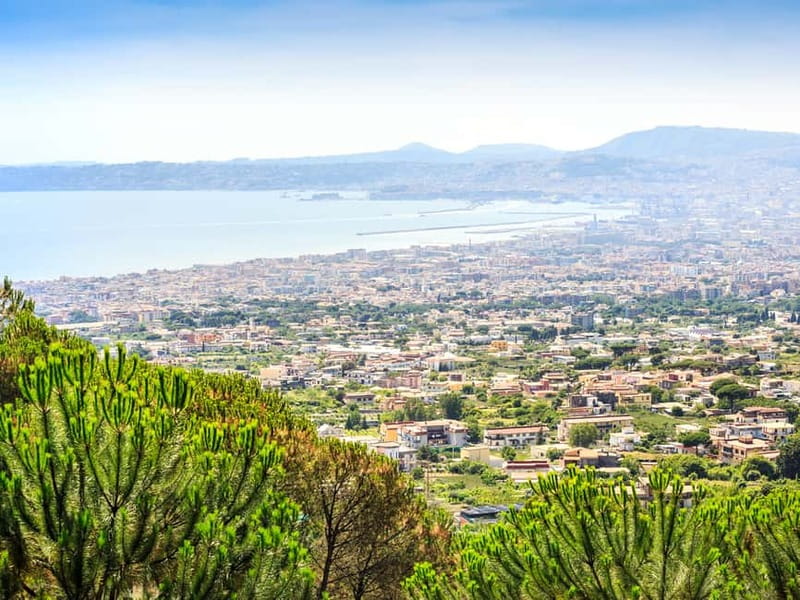 From Naples: Vesuvius Easy Tour - Skip-the-line, timed entry: why this is more valuable than it sounds