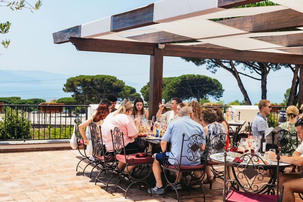 From Naples: Wine Tasting Tour on Vesuvius Slopes with Lunch - Key Things That Make This Tour Worth Your Time
