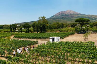 From Naples: Wine Tasting Tour on Vesuvius Slopes with Lunch - Getting From Naples: Pickup Timing and the On-Road Vibe
