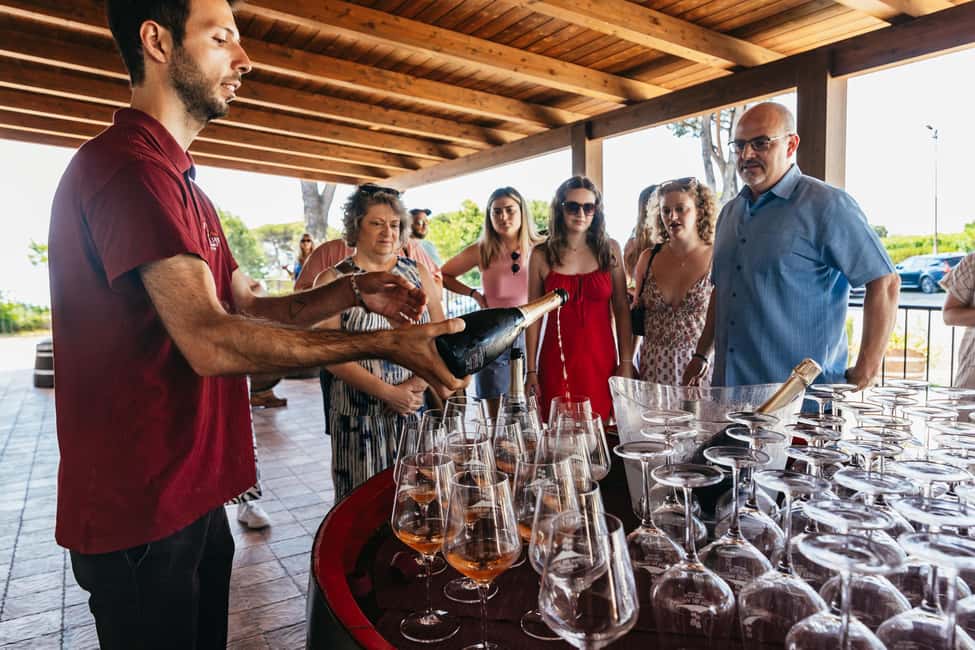 From Naples: Wine Tasting Tour on Vesuvius Slopes with Lunch - Lunch on the Terrace: The Pairing That Makes the Day