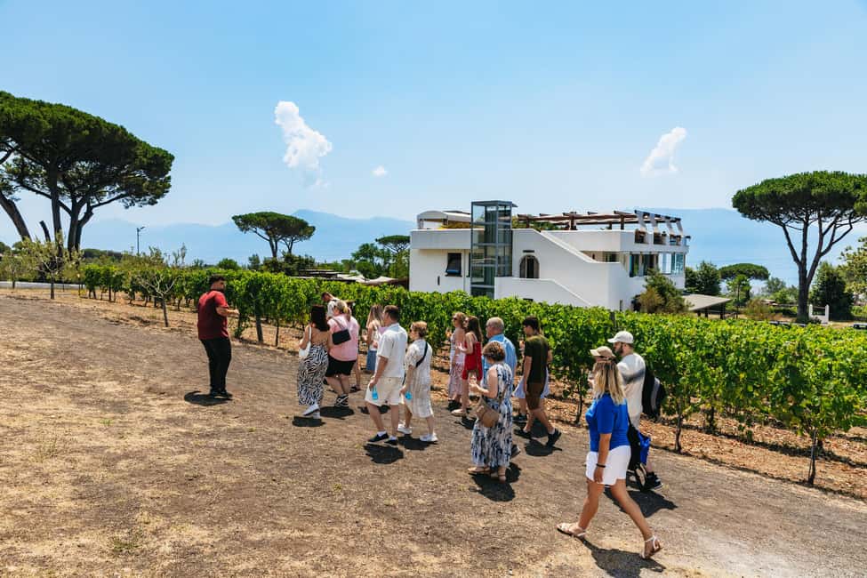 From Naples: Wine Tasting Tour on Vesuvius Slopes with Lunch - Buying Bottles at the Farm Store: Value and What to Expect