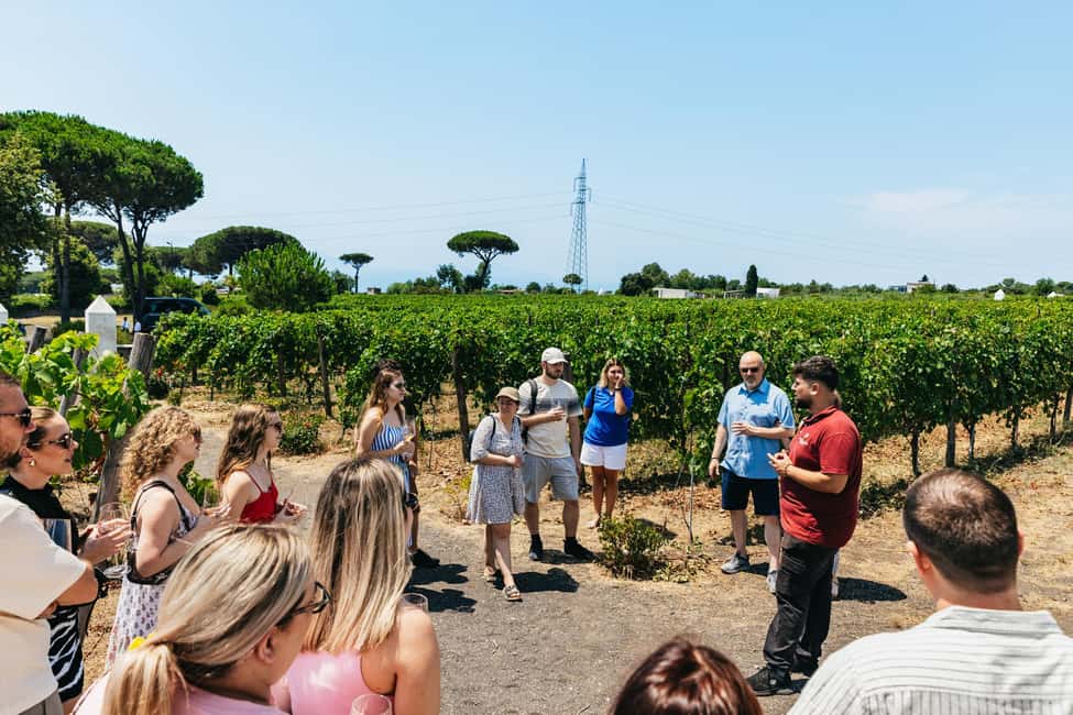 From Naples: Wine Tasting Tour on Vesuvius Slopes with Lunch - Guides and Drivers: Why the Human Touch Matters