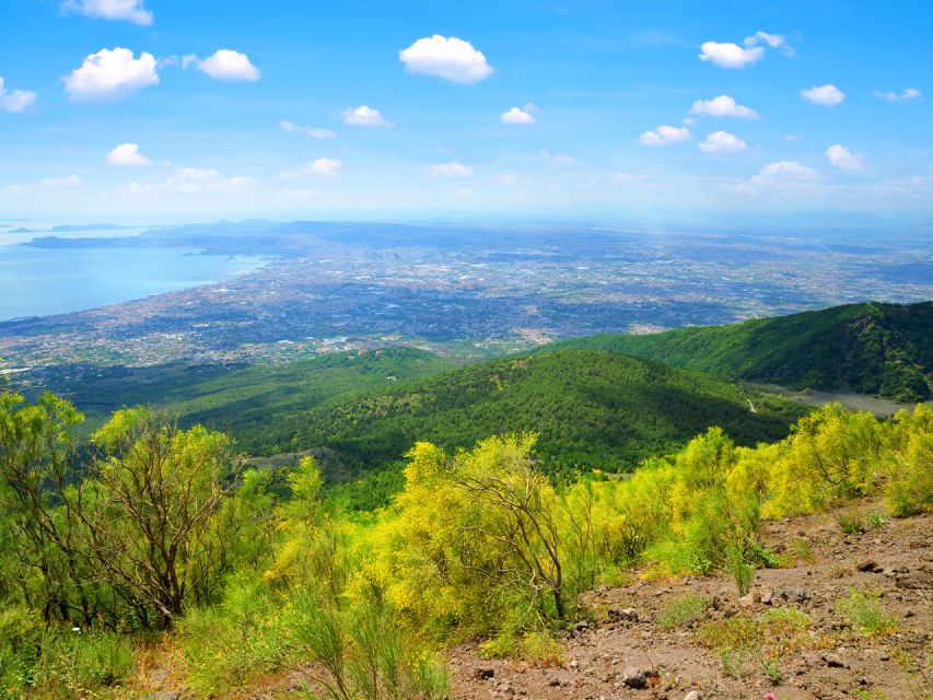 From Pompeii: Bus Transfer to Vesuvius with Park Entry Fee - Meeting at Via Roma, 32 and riding the air-conditioned route up