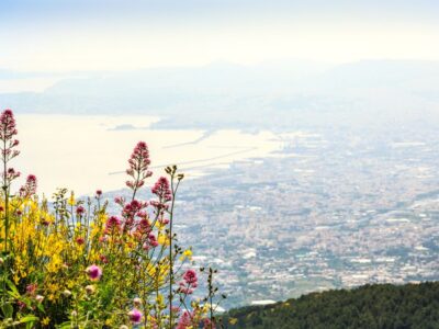 From Pompeii: Bus Transfer to Vesuvius with Park Entry Fee - The 1,000-meter parking drop-off: what that changes for your hike