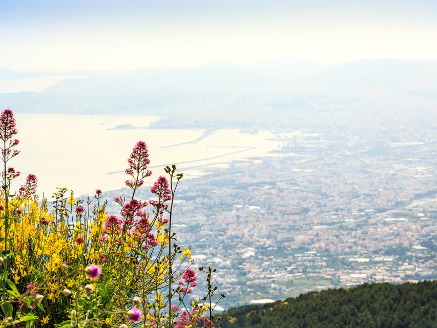 From Pompeii: Bus Transfer to Vesuvius with Park Entry Fee - The 1,000-meter parking drop-off: what that changes for your hike