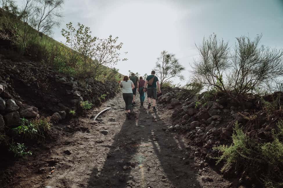 From Pompeii: Mount Vesuvius Guided Tour with Transfer - Guide-led storytelling: safety, pacing, and real talk