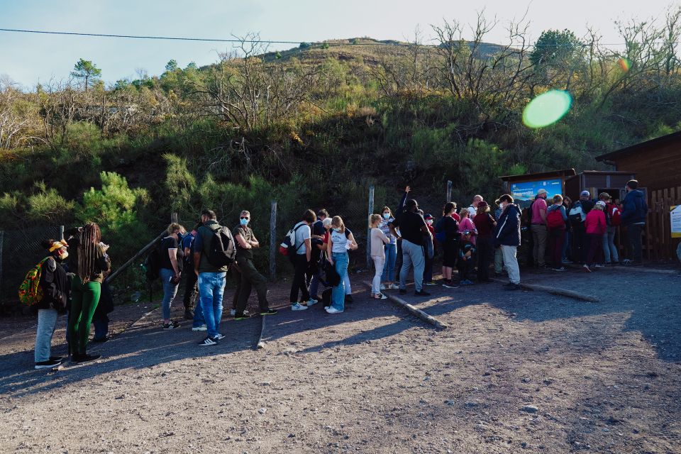From Pompeii: Mount Vesuvius Guided Tour with Transfer - Timing and tour flow: how to plan your photos and energy