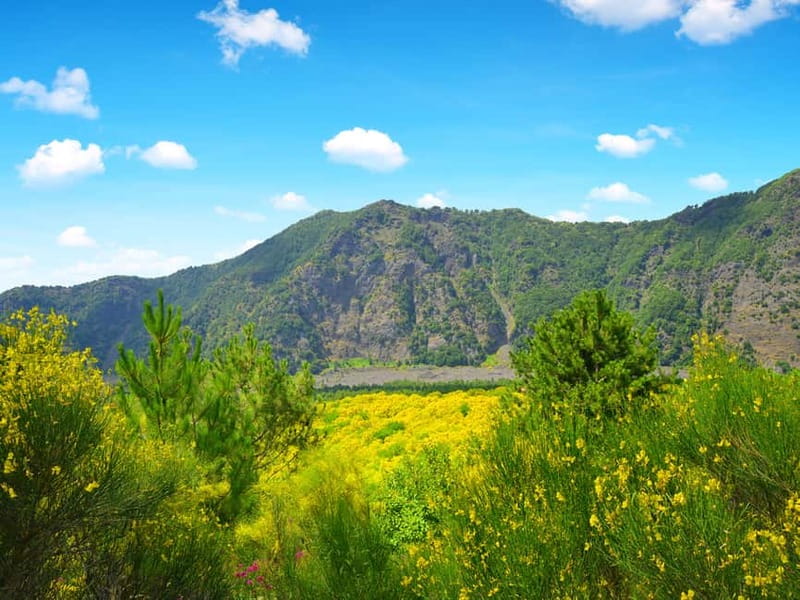 From Pompeii: Mt. Vesuvius Hike & Tour by Bus - Crater views over Naples Bay, Capri, Ischia, Procida, and more