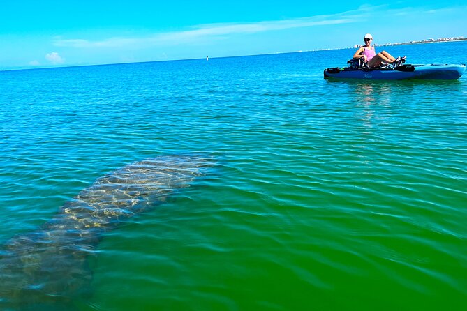 Guided Hobie Kayak EcoTour: Premium Eco Experience Bonita Springs - Key Things You’ll Notice on This EcoTour