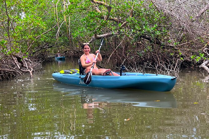 Guided Hobie Kayak EcoTour: Premium Eco Experience Bonita Springs - Timing and What 2.5 Hours Feels Like on the Water