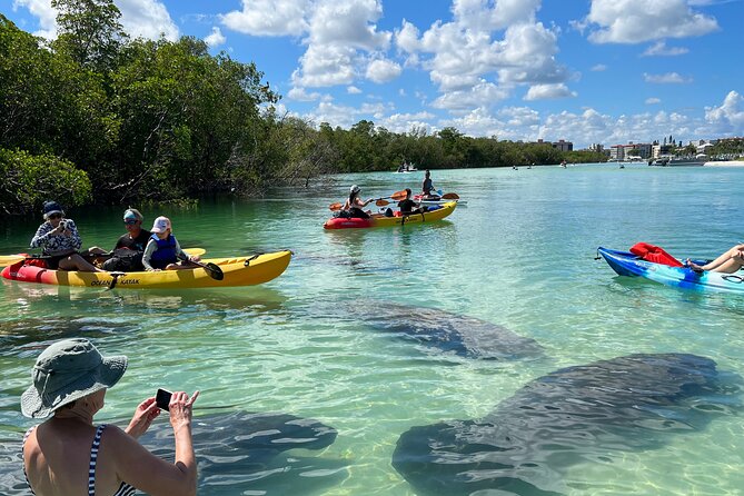 Guided Island EcoTour: CLEAR/Standard Kayak, SUP - Bonita Springs - Key things that make this CLEAR kayak and SUP tour worth your time