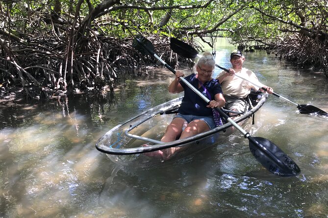 Guided Island EcoTour: CLEAR/Standard Kayak, SUP - Bonita Springs - Price and value: what $50 buys you here