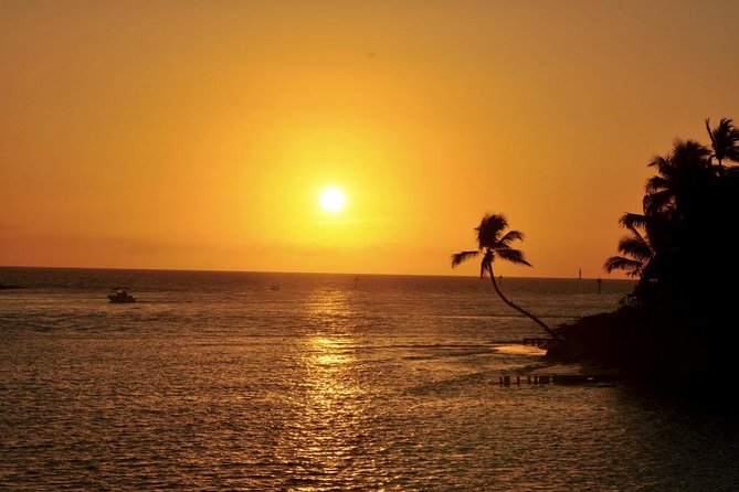 Gulf of Mexico Sunset Cruise from Naples - Key Highlights You’ll Actually Care About