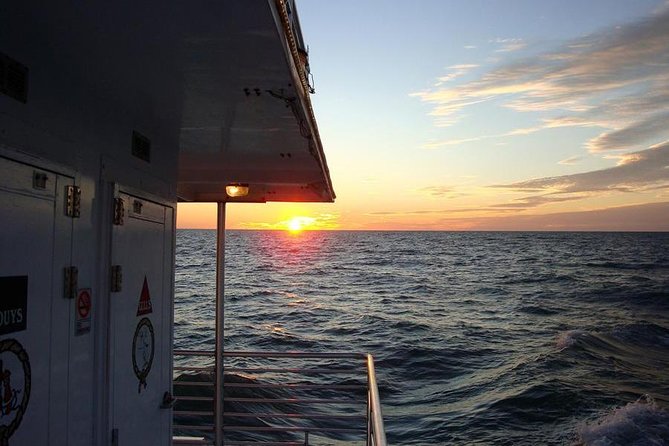 Gulf of Mexico Sunset Cruise from Naples - Wildlife Chances: Dolphins, Birds, and Seasonal Manatees