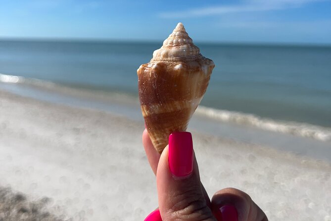 Half Day Shelling Dolphin Eco Tour in 10 000 Island and Marco - What’s Included (and What Isn’t)