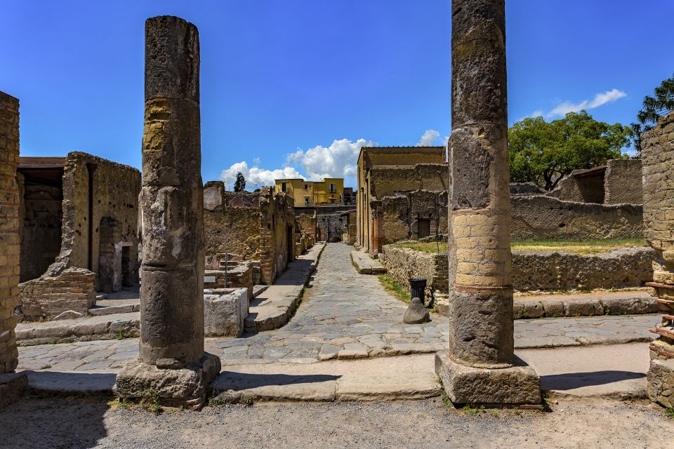 Herculaneum 2-Hour Private Guided Tour - Herculaneum’s “why this place looks different” magic
