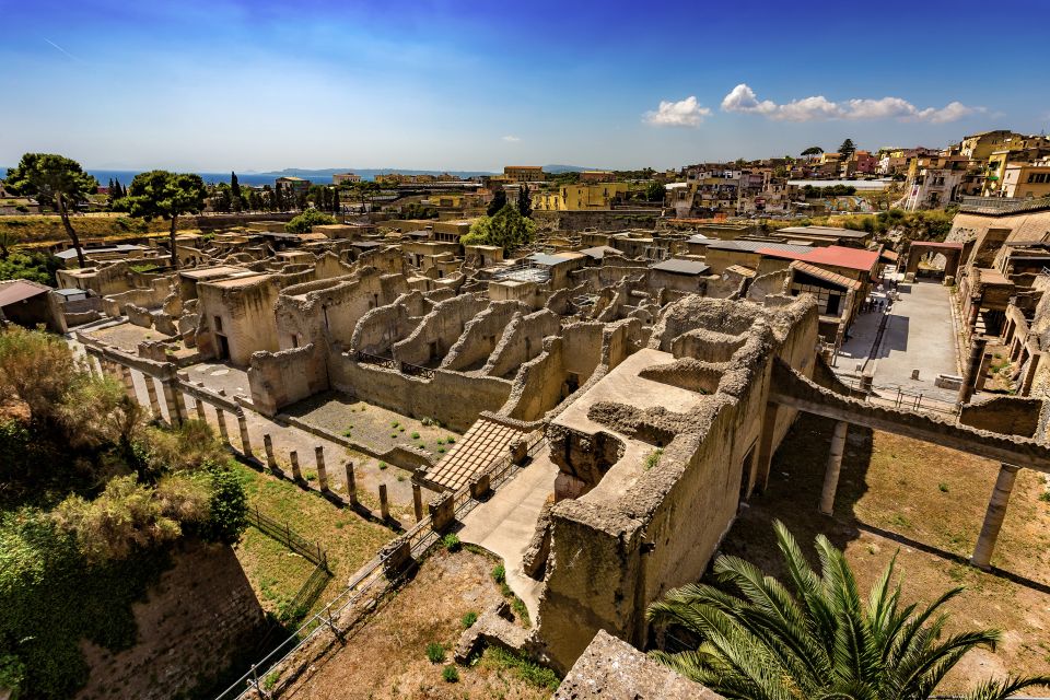 Herculaneum 2-Hour Private Guided Tour - The eruption story you’ll actually remember