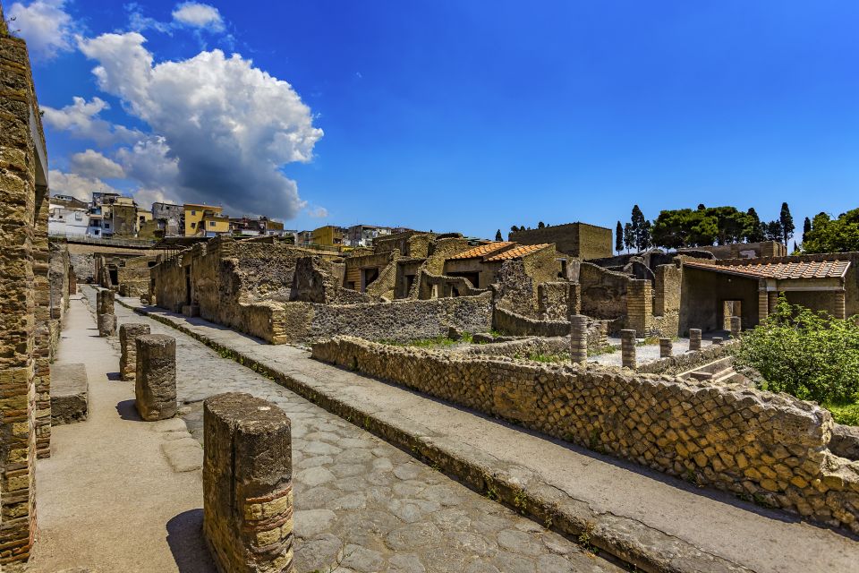 Herculaneum 2-Hour Private Guided Tour - Wealth in Herculaneum: why it can feel richer than Pompeii
