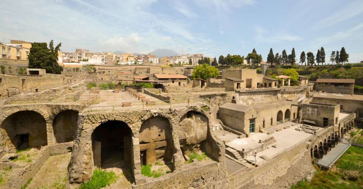 Herculaneum 2-Hour Private Guided Tour - Price and value: $283.21 per group up to 8