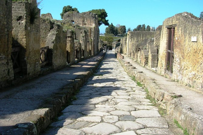 Herculaneum Guided Group Tour from Naples - Pickup and timing: the Naples part that can make or break your day