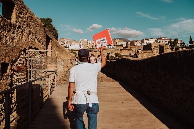 Herculaneum Small Group Tour and Ticket With an Archaeologist - Black Salon to the Grand Portal: luxury rooms, frescoed walls, and charred details