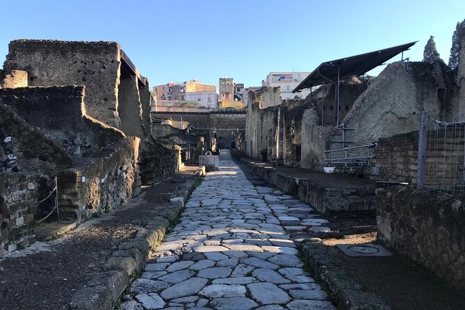 Herculaneum - Small Group Tour - The Private Houses That Explain Roman Daily Life Fast