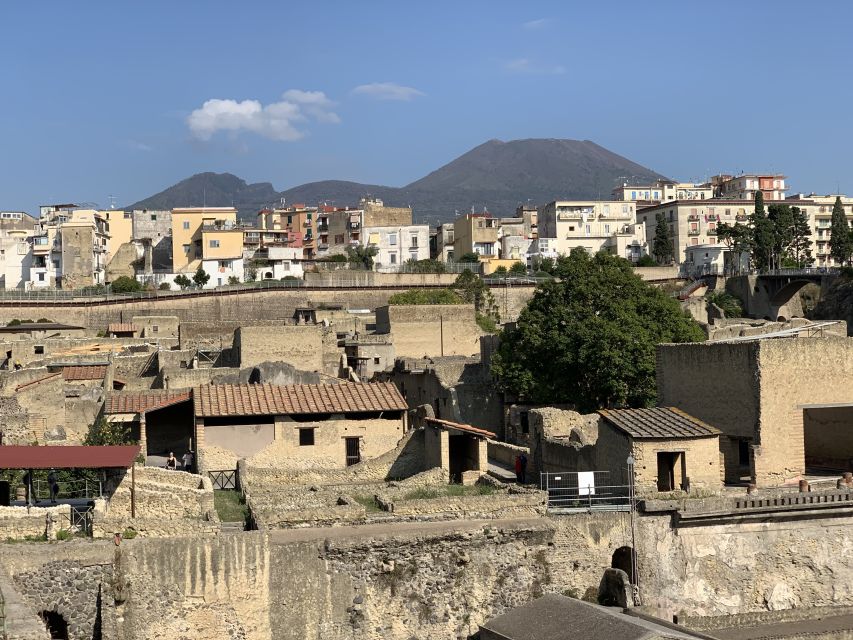 Herculaneum: Tickets & Tour with a Local Archaeologist - Casa dei Cervi (House of the Deer): the villa you can actually read