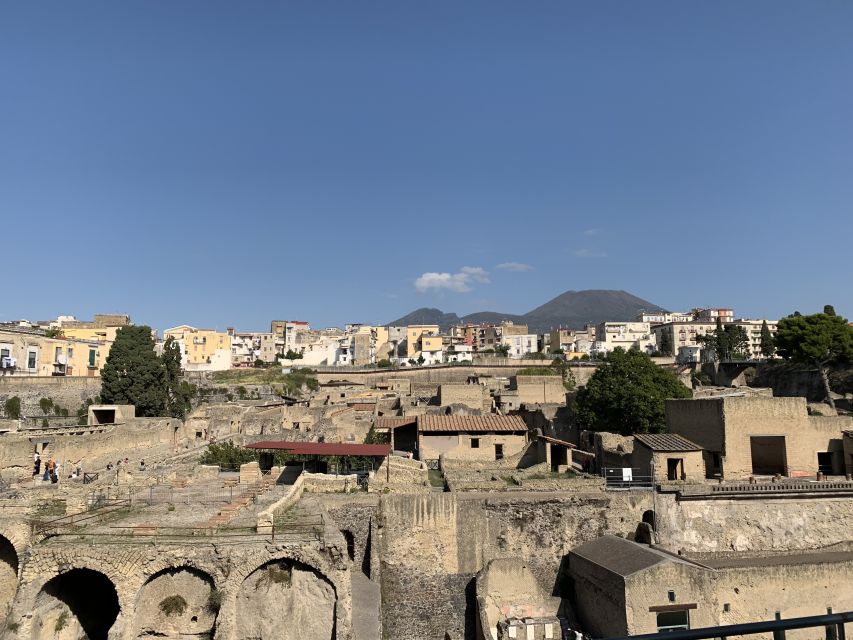 Herculaneum: Tickets & Tour with a Local Archaeologist - Who this tour suits best (and who might want a different plan)