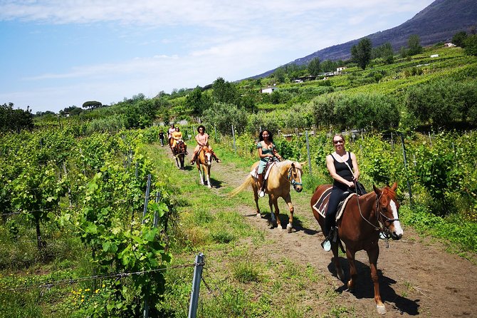 Horseback Riding on Vesuvius - Starting in Pompeii: How the Tour Runs in Real Life