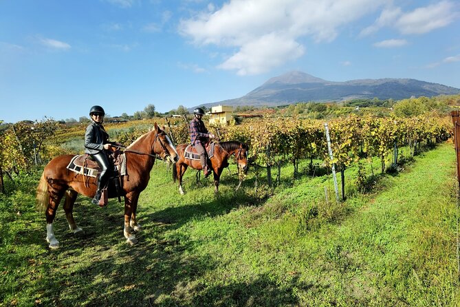 Horseback Riding on Vesuvius - The Ride Itself: What 400–500 Meters Feels Like