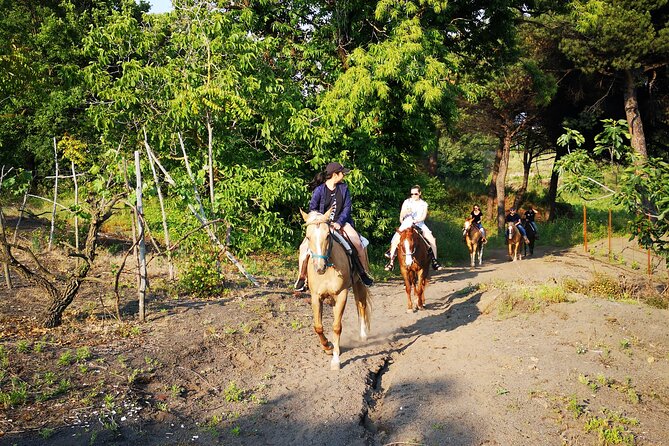 Horseback Riding on Vesuvius - Who This Horseback Ride Works For (and Who Should Skip It)