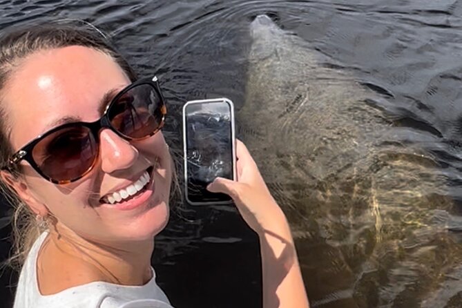 Manatee Sightseeing and Wildlife Boat Tour - What Happens During the Cruise: Finding Manatees, Then the Rest of the Food Web
