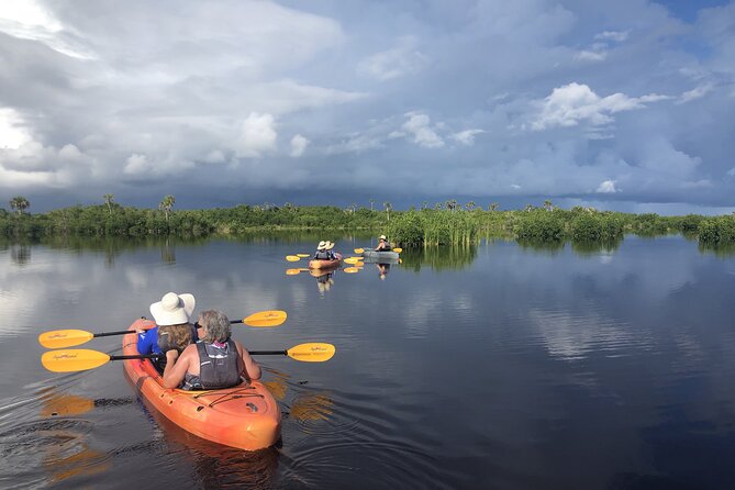 Manatees and Mangrove Tunnels Small Group Kayak Tour - Why This Kayak Route Is Built for Winter Manatees