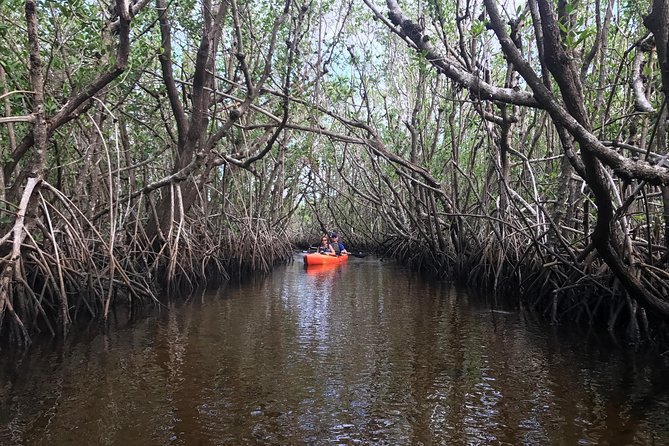 Manatees and Mangrove Tunnels Small Group Kayak Tour - Port of the Islands Marina: Start Point and What Your Paddle Feels Like