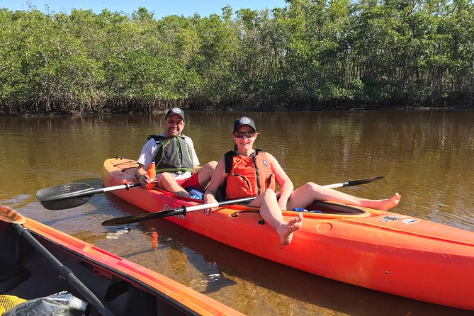 Manatees and Mangrove Tunnels Small Group Kayak Tour - Two Hours in the 10,000 Islands Wildlife Refuge Tunnels