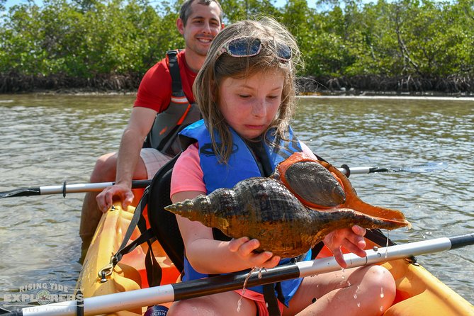 Mangrove Tunnels & Mudflats Kayak Tour - Local Biologist Guides - What you’ll do on the water: tunnels, flats, and oyster reef edges