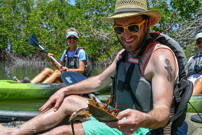 Mangrove Tunnels & Mudflats Kayak Tour - Local Biologist Guides - Wildlife odds: what to watch for without losing patience