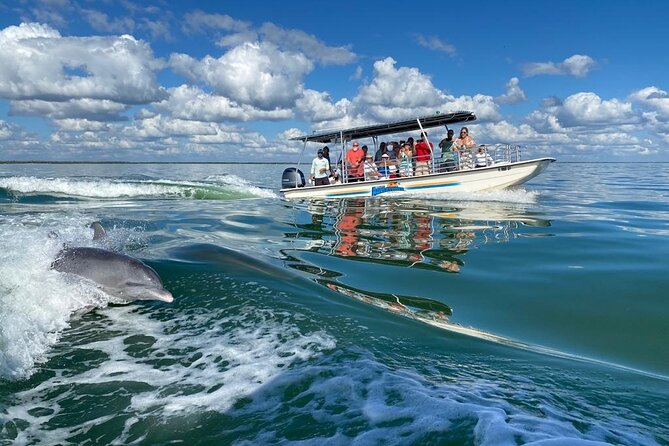 Marco Island Dolphin Sightseeing Tour - The two-hour pacing: why it works for families and first-timers
