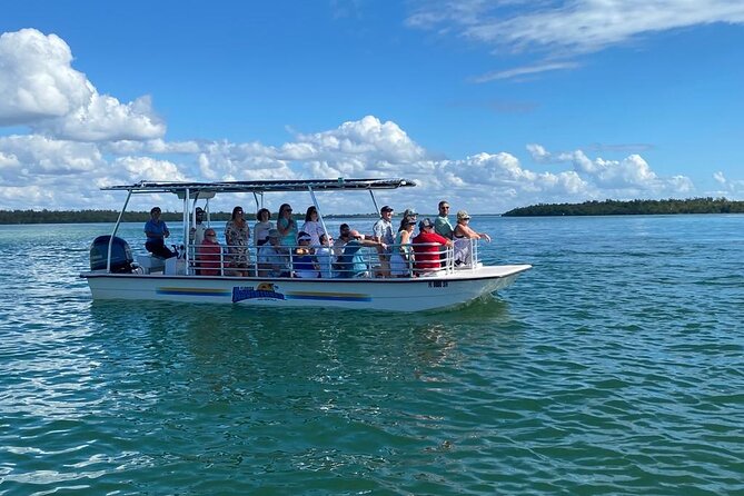 Marco Island Dolphin Sightseeing Tour - Comfort and what’s included: the practical stuff you’ll care about